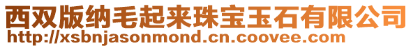 西雙版納毛起來珠寶玉石有限公司