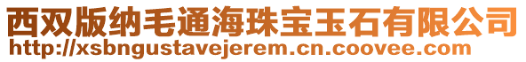 西雙版納毛通海珠寶玉石有限公司