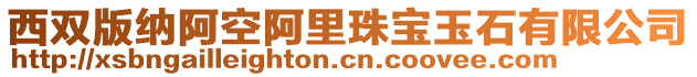 西雙版納阿空阿里珠寶玉石有限公司