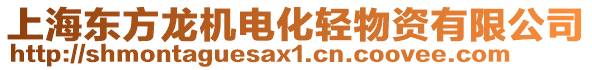 上海東方龍機電化輕物資有限公司