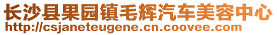長沙縣果園鎮毛輝汽車美容中心