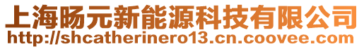 上海旸元新能源科技有限公司