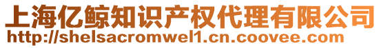 上海億鯨知識產權代理有限公司