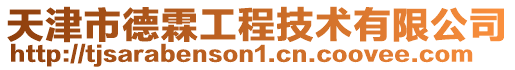 天津市德霖工程技術(shù)有限公司