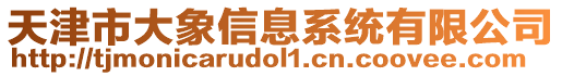 天津市大象信息系統有限公司