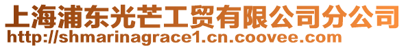 上海浦東光芒工貿有限公司分公司
