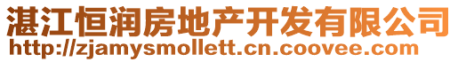 湛江恒潤房地產開發有限公司