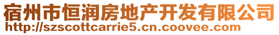 宿州市恒潤房地產(chǎn)開發(fā)有限公司
