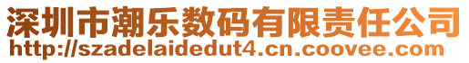 深圳市潮樂(lè)數(shù)碼有限責(zé)任公司