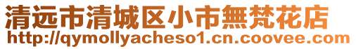 清遠(yuǎn)市清城區(qū)小市無(wú)梵花店