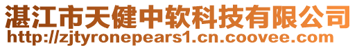 湛江市天健中軟科技有限公司