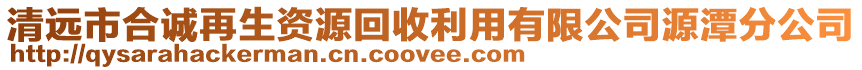 清遠市合誠再生資源回收利用有限公司源潭分公司