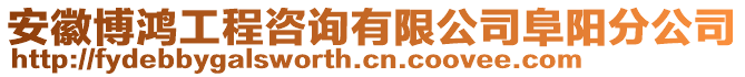 安徽博鴻工程咨詢有限公司阜陽(yáng)分公司