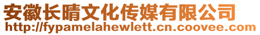 安徽長晴文化傳媒有限公司