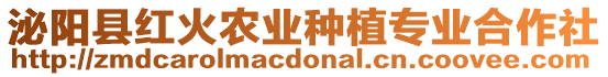 泌陽縣紅火農業種植專業合作社