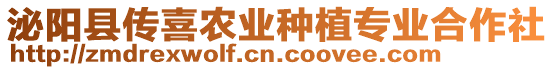 泌陽縣傳喜農業種植專業合作社