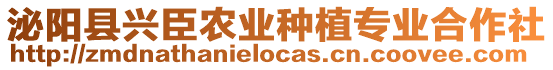 泌陽縣興臣農業種植專業合作社