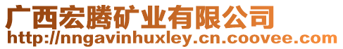 廣西宏騰礦業有限公司