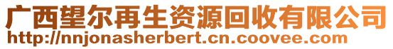 廣西望爾再生資源回收有限公司