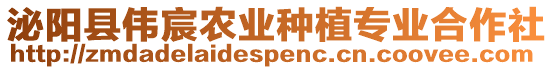 泌陽縣偉宸農業種植專業合作社