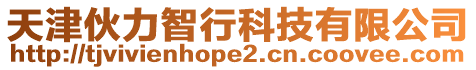 天津伙力智行科技有限公司