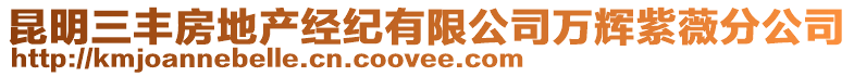 昆明三豐房地產經紀有限公司萬輝紫薇分公司