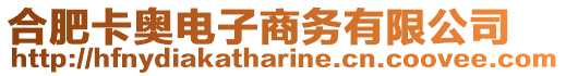 合肥卡奧電子商務有限公司