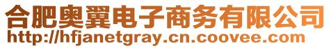 合肥奧翼電子商務有限公司