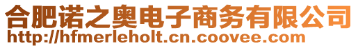 合肥諾之奧電子商務(wù)有限公司