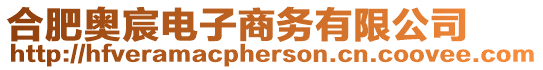 合肥奧宸電子商務有限公司