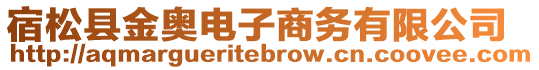 宿松縣金奧電子商務(wù)有限公司
