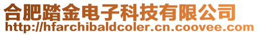 合肥踏金電子科技有限公司