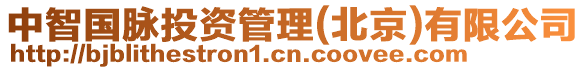 中智國脈投資管理(北京)有限公司