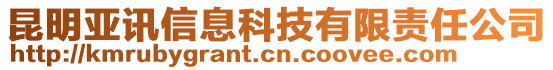 昆明亞訊信息科技有限責任公司