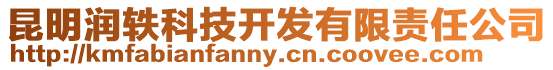 昆明潤軼科技開發(fā)有限責(zé)任公司