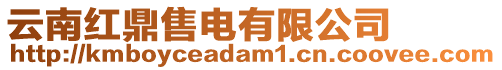 云南紅鼎售電有限公司