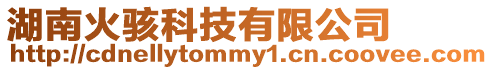 湖南火駭科技有限公司