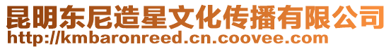 昆明東尼造星文化傳播有限公司