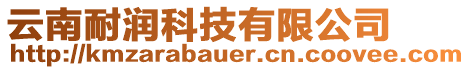 云南耐潤科技有限公司