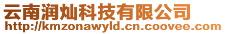 云南潤燦科技有限公司