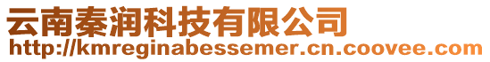 云南秦潤科技有限公司