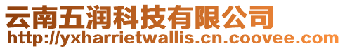 云南五潤科技有限公司