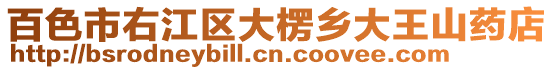 百色市右江區大楞鄉大王山藥店
