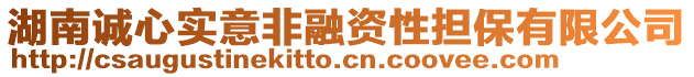 湖南誠心實(shí)意非融資性擔(dān)保有限公司