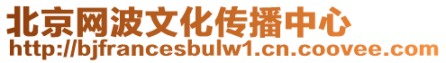 北京網波文化傳播中心