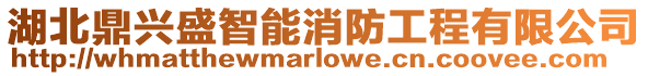 湖北鼎興盛智能消防工程有限公司