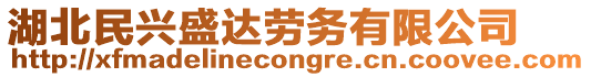 湖北民興盛達勞務有限公司