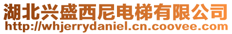 湖北興盛西尼電梯有限公司