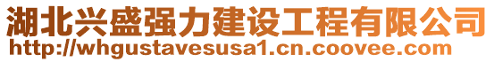 湖北興盛強(qiáng)力建設(shè)工程有限公司