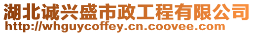 湖北誠興盛市政工程有限公司
